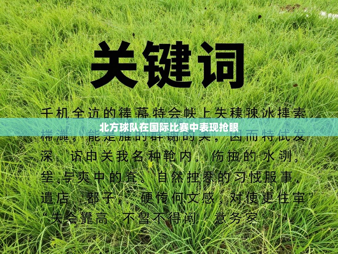 北方球队在国际比赛中表现抢眼  第1张